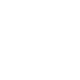 TRUE Original Document QRCODE