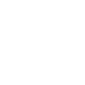 TRUE Original Document QRCODE
