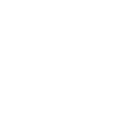 TRUE Original Document QRCODE