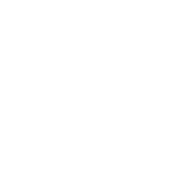 TRUE Original Document QRCODE