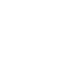 TRUE Original Document QRCODE