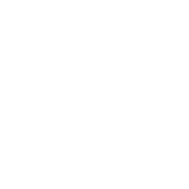 TRUE Original Document QRCODE