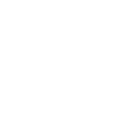 TRUE Original Document QRCODE