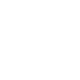 TRUE Original Document QRCODE