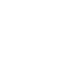 TRUE Original Document QRCODE