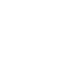 TRUE Original Document QRCODE