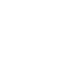 TRUE Original Document QRCODE