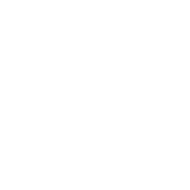 TRUE Original Document QRCODE