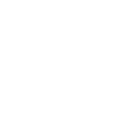 TRUE Original Document QRCODE
