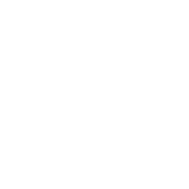 TRUE Original Document QRCODE