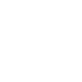 TRUE Original Document QRCODE