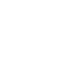 TRUE Original Document QRCODE