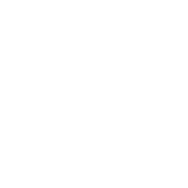 TRUE Original Document QRCODE