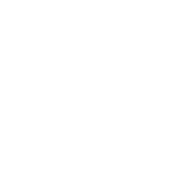 TRUE Original Document QRCODE