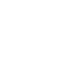 TRUE Original Document QRCODE