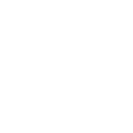 TRUE Original Document QRCODE