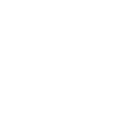 TRUE Original Document QRCODE