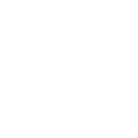TRUE Original Document QRCODE