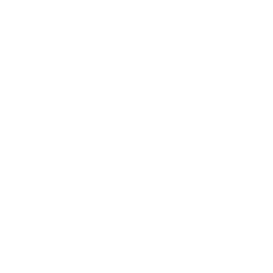 TRUE Original Document QRCODE