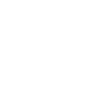 TRUE Original Document QRCODE