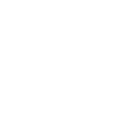 TRUE Original Document QRCODE