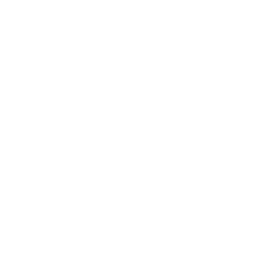 TRUE Original Document QRCODE