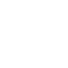 TRUE Original Document QRCODE
