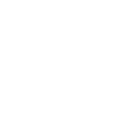 TRUE Original Document QRCODE