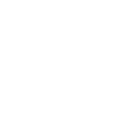 TRUE Original Document QRCODE
