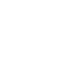 TRUE Original Document QRCODE