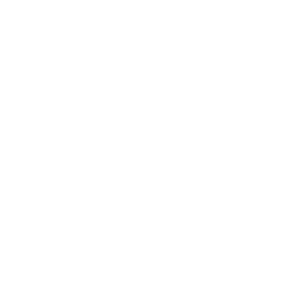 TRUE Original Document QRCODE