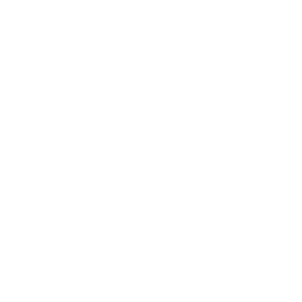 TRUE Original Document QRCODE