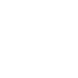 TRUE Original Document QRCODE