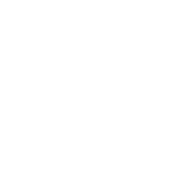 TRUE Original Document QRCODE