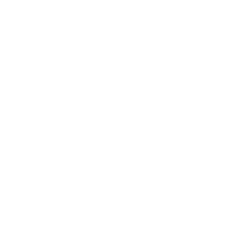 TRUE Original Document QRCODE