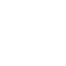 TRUE Original Document QRCODE