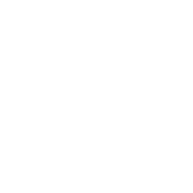 TRUE Original Document QRCODE