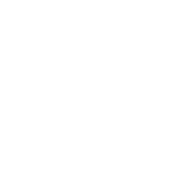 TRUE Original Document QRCODE