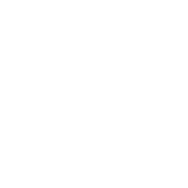 TRUE Original Document QRCODE