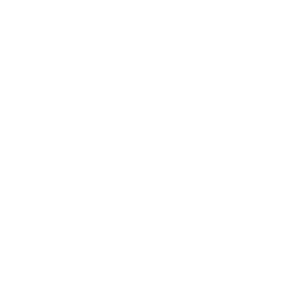 TRUE Original Document QRCODE