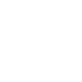 TRUE Original Document QRCODE