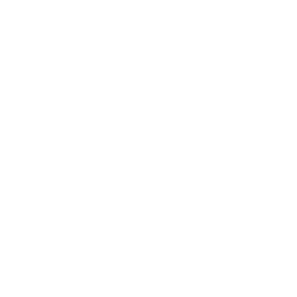 TRUE Original Document QRCODE