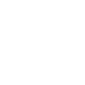 TRUE Original Document QRCODE
