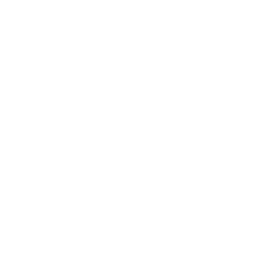 TRUE Original Document QRCODE