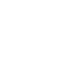 TRUE Original Document QRCODE