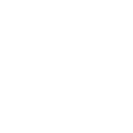 TRUE Original Document QRCODE