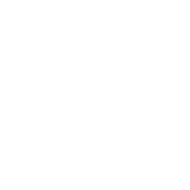 TRUE Original Document QRCODE