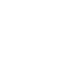 TRUE Original Document QRCODE