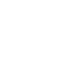 TRUE Original Document QRCODE