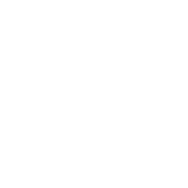 TRUE Original Document QRCODE